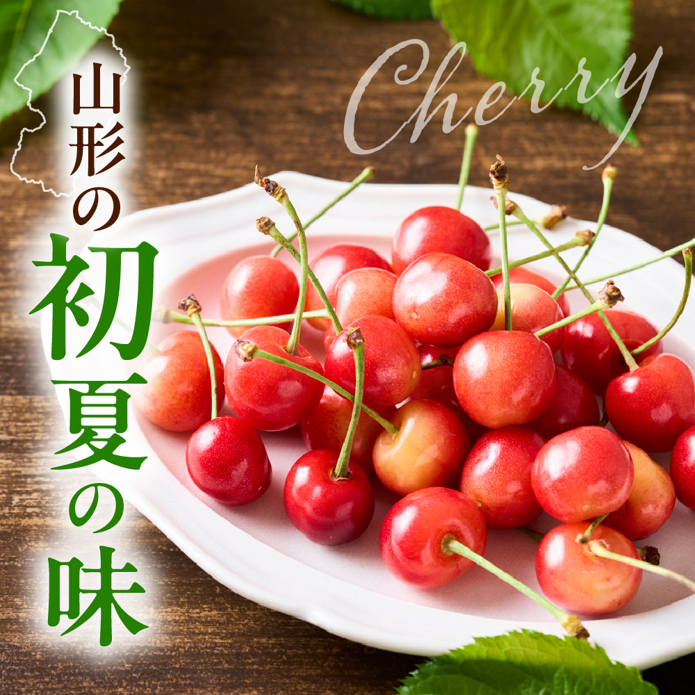 【先行予約】 令和8年産 さくらんぼ やまがた紅王 400g ( 200g × 2パック ) バラ詰め 2L ～ 3L玉 2026年6月下旬～7月上旬頃お届け予定