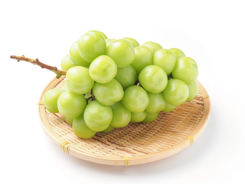 【先行予約】 令和8年産 プレミアム シャインマスカット 1房 ( 約800g ) 2026年10月頃～ お届け予定