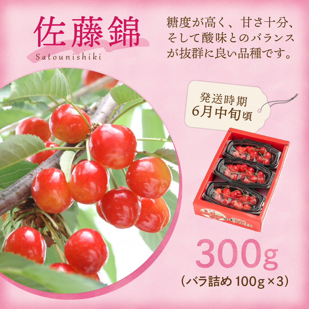 【先行予約】【定期便】令和7年産 フルーツ定期便 3回 配送 さくらんぼ シャインマスカット りんご 2025年6月中旬頃～ 発送開始 2025年産