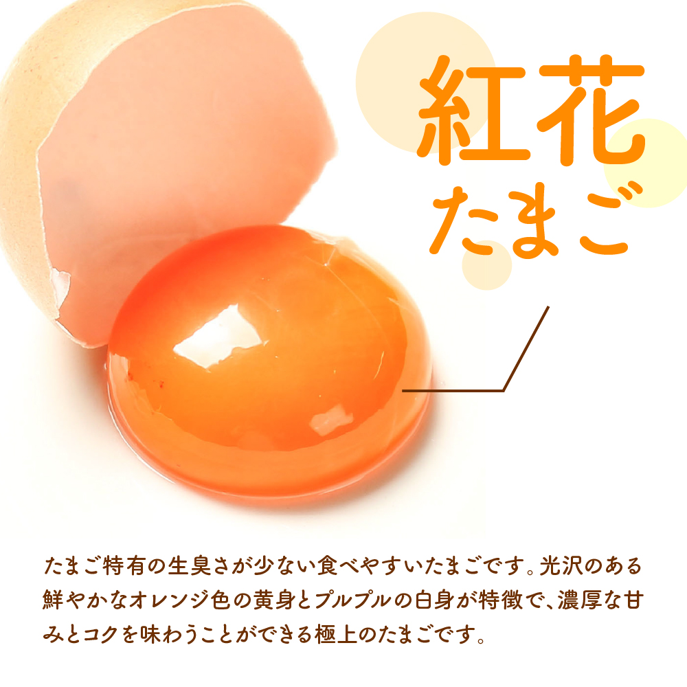 【6ヶ月定期便】 紅花たまご 30個セット (10個×3パック)/月 計180個