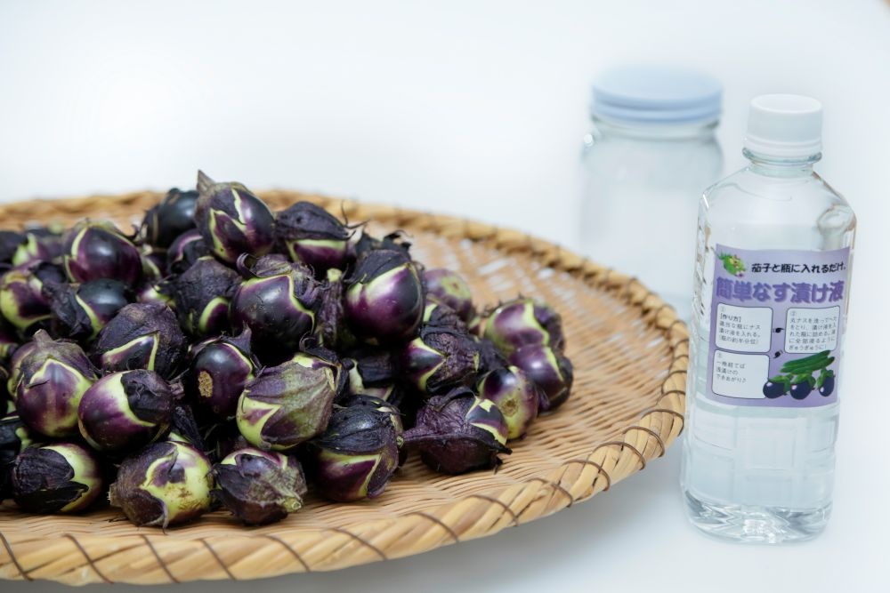 【先行予約】 令和8年産 米沢伝統野菜 うす皮茄子漬けセット 薄皮丸なす 漬け汁 三五八漬の素 2026年8月中旬～9月中旬頃 お届け予定