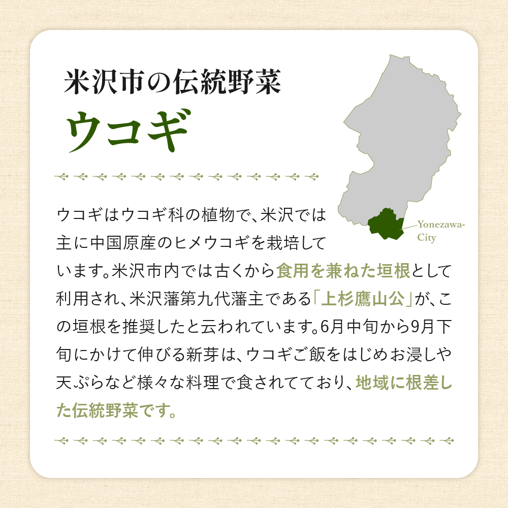 Ukogi Herb Tea（ウコギハーブティー）2種 Aセット ウコギ100% カモミールブレンド 各10個 計20個入り ティーバッグ