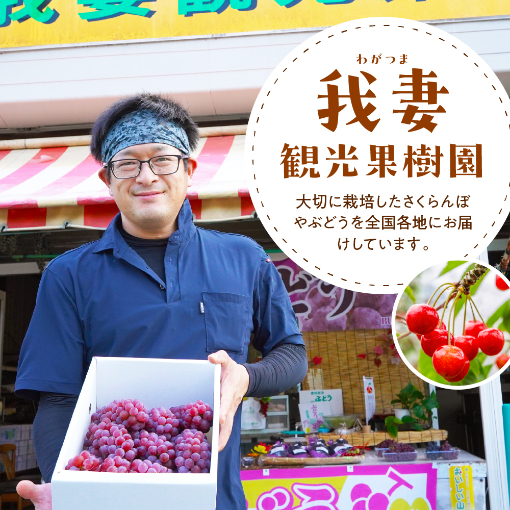 【先行予約】【数量限定】【令和8年産】家庭用 訳あり ぶどう デラウェア 2kg ( 8～12房 ) 2026年8月20日～9月20日頃お届け予定