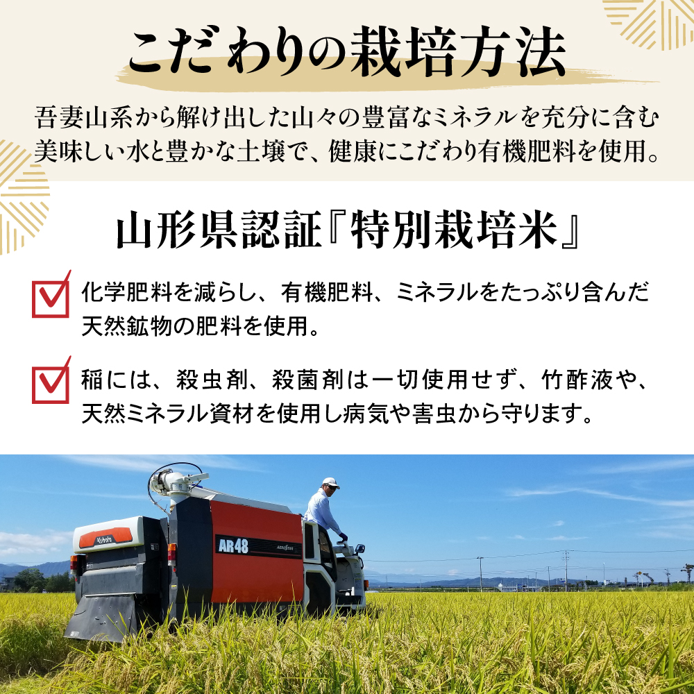 【 令和7年産 】 特別栽培米 つや姫 計10kg ( 5kg×2袋 ) 〔2025年10月中下旬頃～順次お届け〕2025年産 産地直送 農家直送 ブランド米