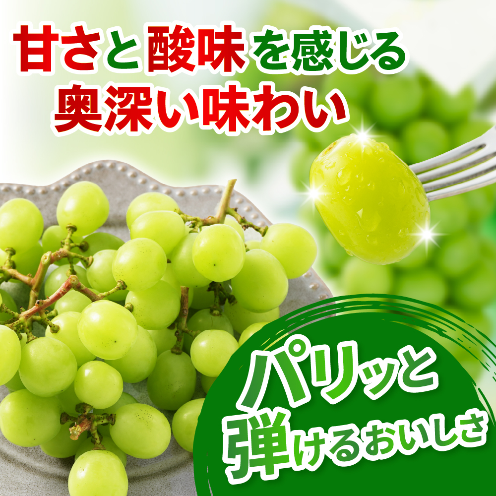 【先行予約】 【数量限定】 令和8年産 大玉 シャインマスカット 2房 1.4kg 2026年9月上旬頃～お届け予定