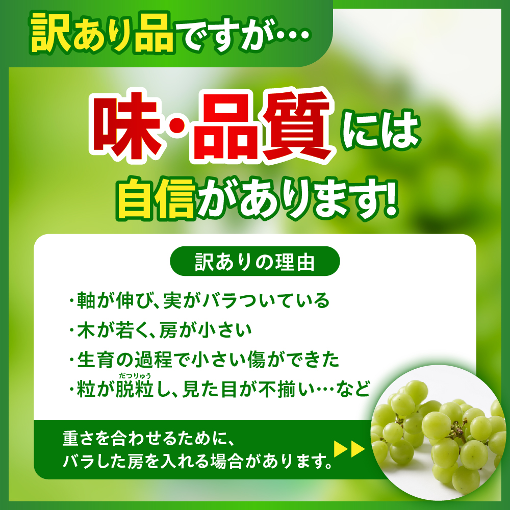 【先行予約】 令和8年産 訳あり シャインマスカット 2kg 2026年9月上旬頃～お届け予定
