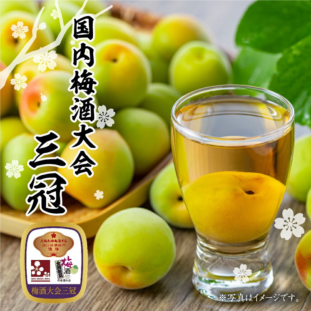 梅酒 小嶋総本店 東光 吟醸梅酒 500ml×1本