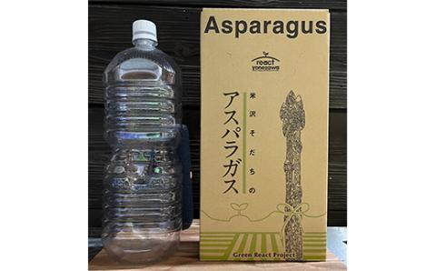 先行予約 》【 令和6年産 夏芽 】 アスパラガス 1kg 1箱 〔 発送 ： 2024年7月中下旬 ～ 9月下旬頃 まで 〕 朝採り 有機質肥料栽培  [099-001-02]: 米沢市ANAのふるさと納税