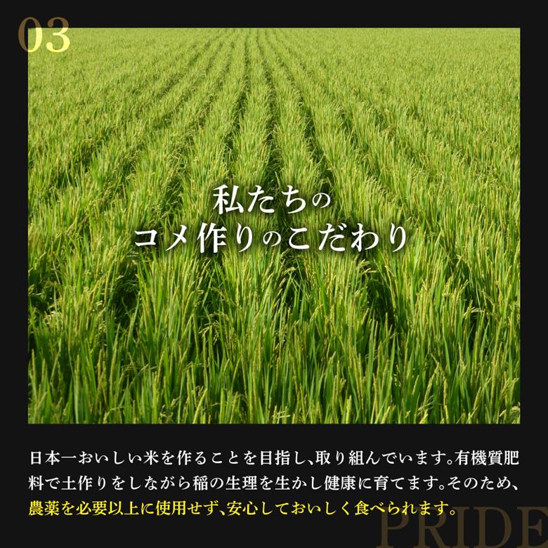【 令和7年産 】 特別栽培米 もち米 （ ヒメノモチ ） 計 2kg （ 1kg × 2袋 ） 産地直送 2025年産 米沢産 餅米 餅 もち お米 精米 赤飯 おこわ 山形県 米沢市