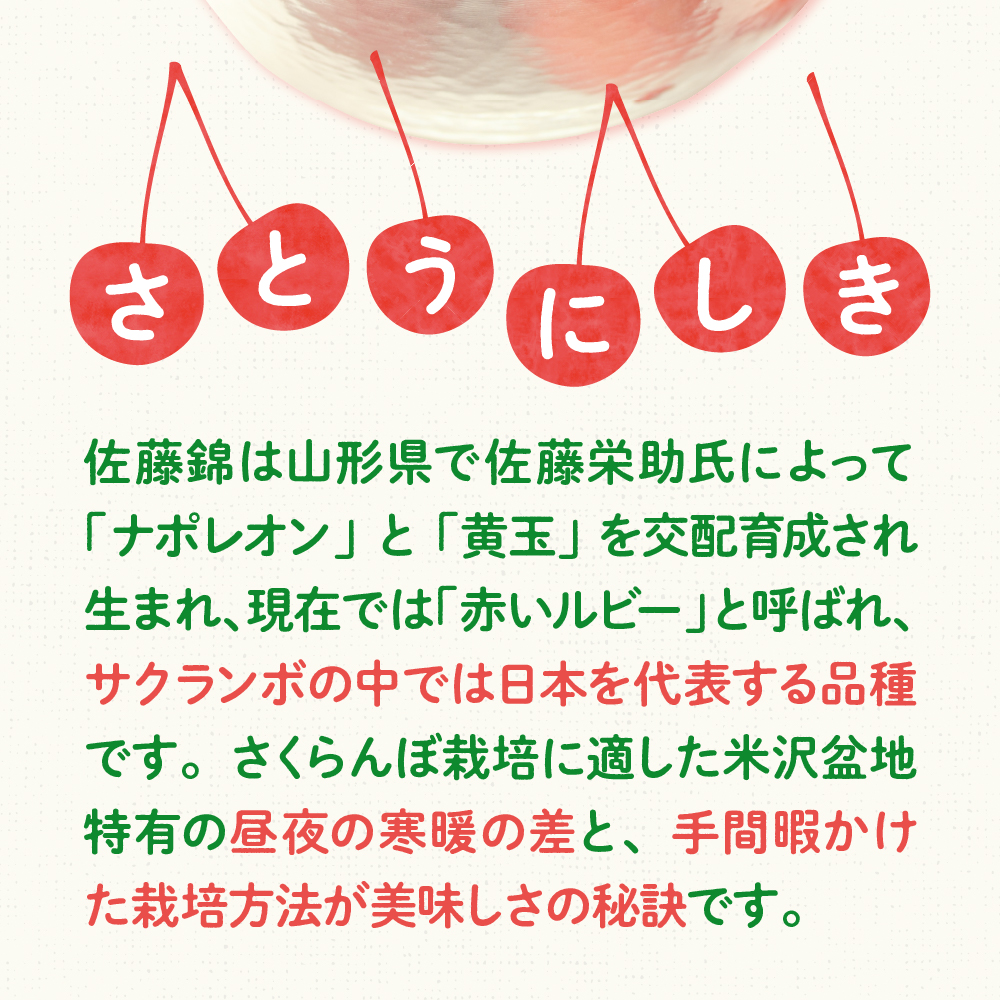 【先行予約】 令和8年産 さくらんぼ 佐藤錦 500g ( バラ詰め ) 2026年6月上旬～下旬頃お届け予定