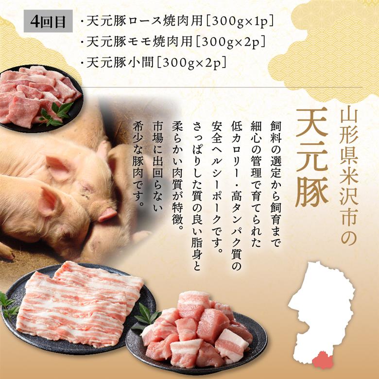 【定期便】 4ヶ月定期便 天元豚 セット 全4回 豚肉 ロース バラ 小間 モモ 挽き肉