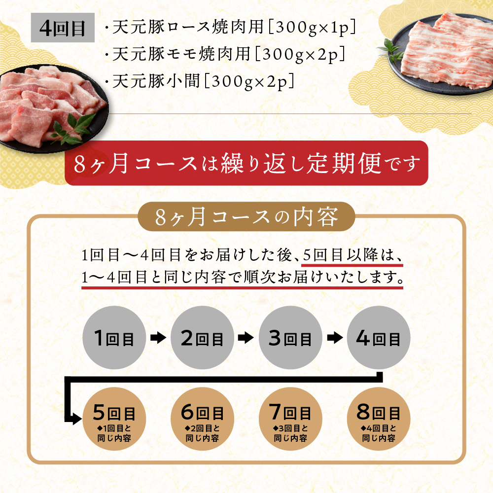 【定期便】 8ヶ月定期便 天元豚 セット 全8回 豚肉 ロース バラ 小間 モモ 挽き肉