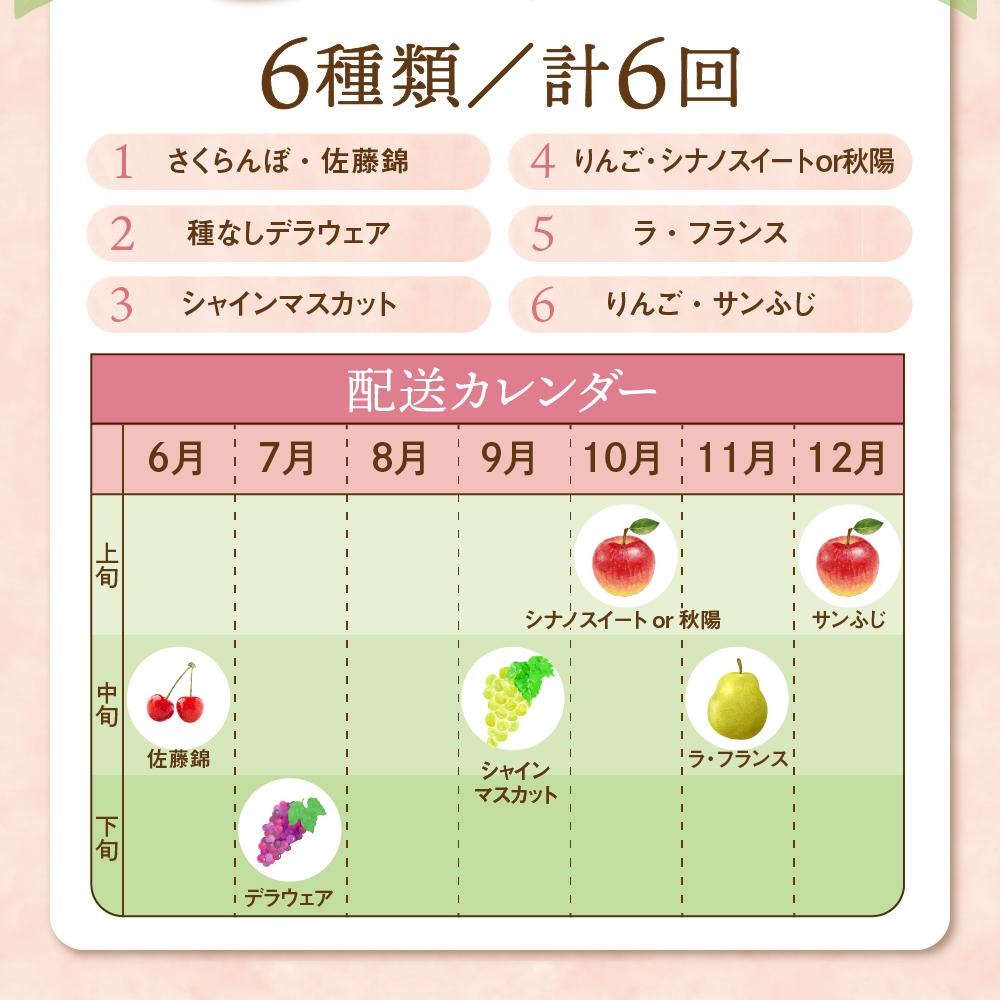 【先行予約】 令和8年産 旬のフルーツ 6回 定期便 さくらんぼ 佐藤錦 ぶどう デラウェア シャインマスカット りんご シナノスイート 秋陽 サンふじ 西洋梨 ラ・フランス