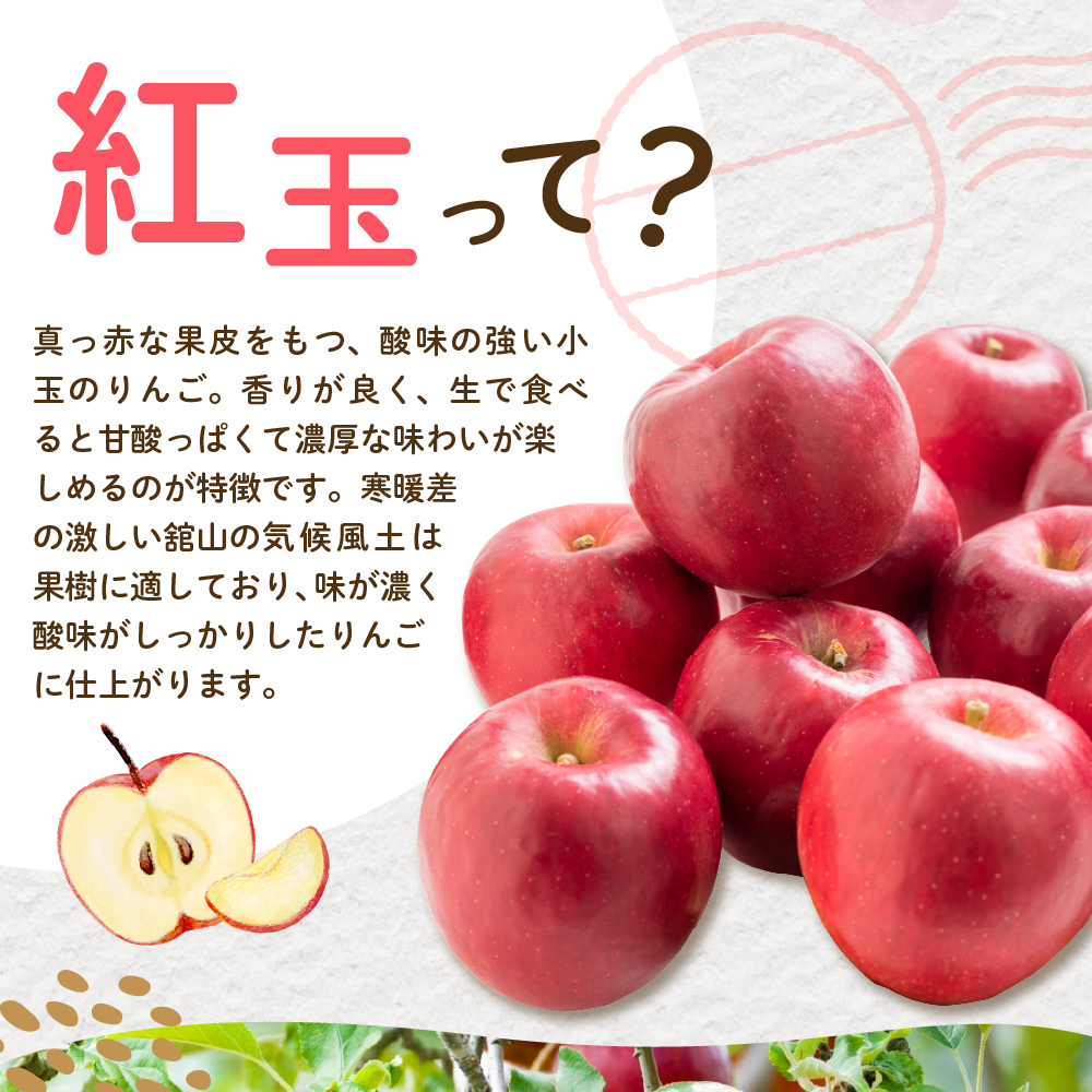 【先行予約】 令和8年産 紅玉 りんご 約2kg 9玉 ～ 13玉 舘山りんご フルーツアドバイザー 厳選 2026年10月中旬～下旬頃 お届け予定 山形県 米沢市