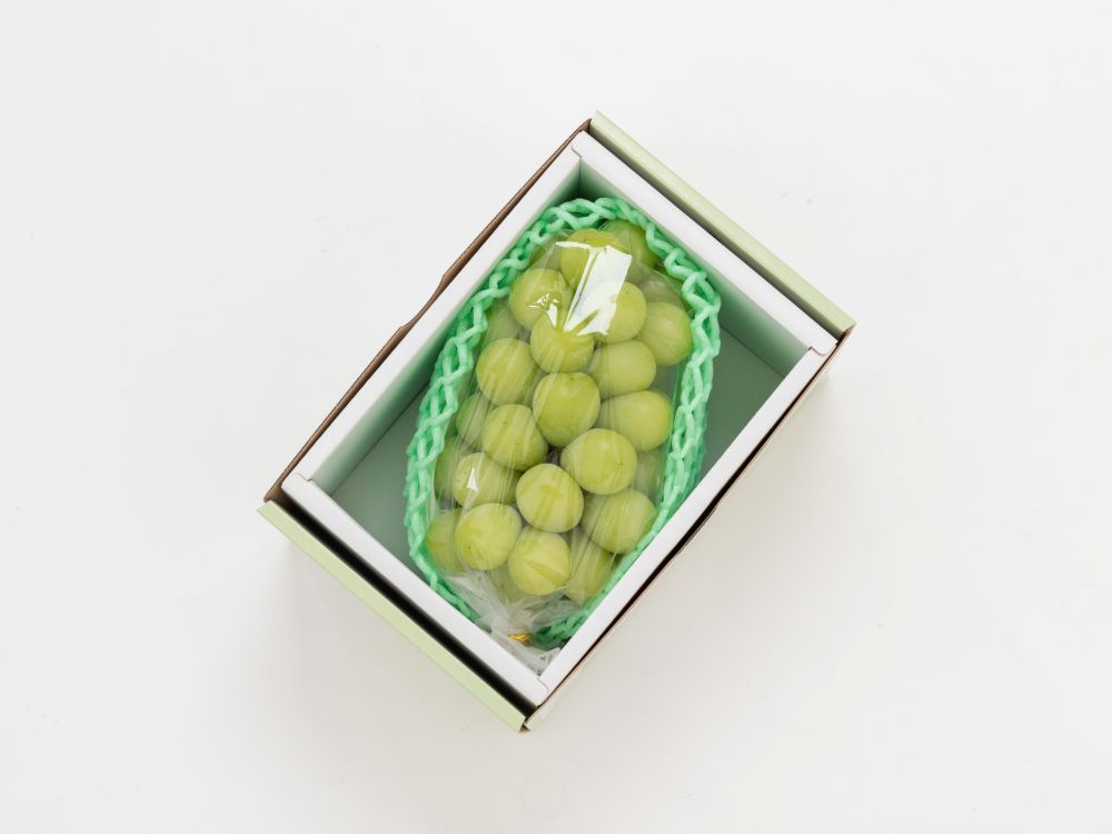 【先行予約】 令和8年産 プレミアム シャインマスカット 1房 ( 約800g ) 2026年10月頃～ お届け予定