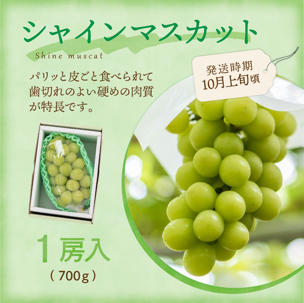 【先行予約】【定期便】令和7年産 フルーツ定期便 3回 配送 さくらんぼ シャインマスカット りんご 2025年6月中旬頃～ 発送開始 2025年産