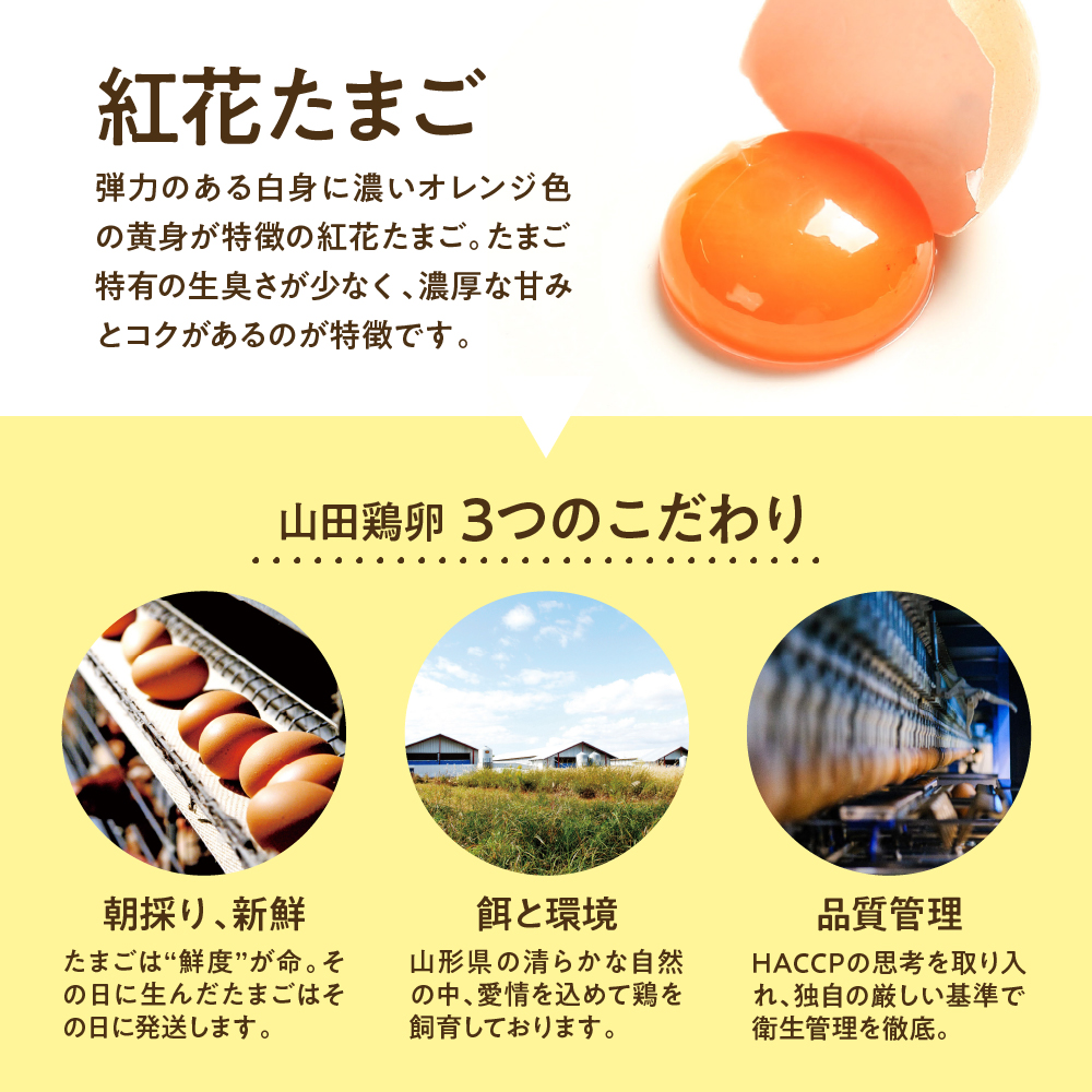 《数量限定》 ウフウフガーデン たまごやのブリオッシュ食パン 2本 (1本1.5斤)