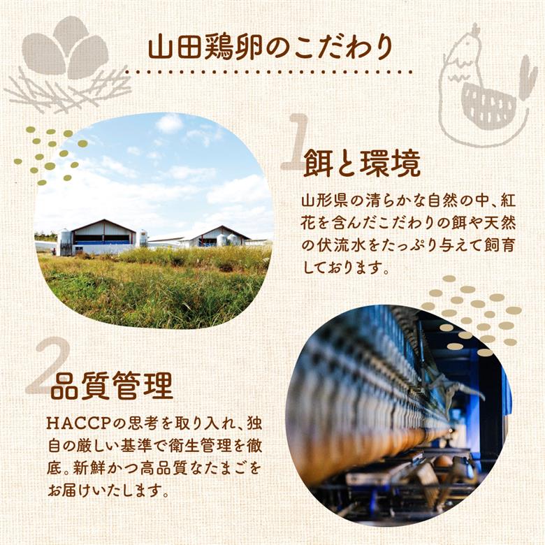 【6ヶ月定期便】 紅花たまご 30個セット (10個×3パック)/月 計180個