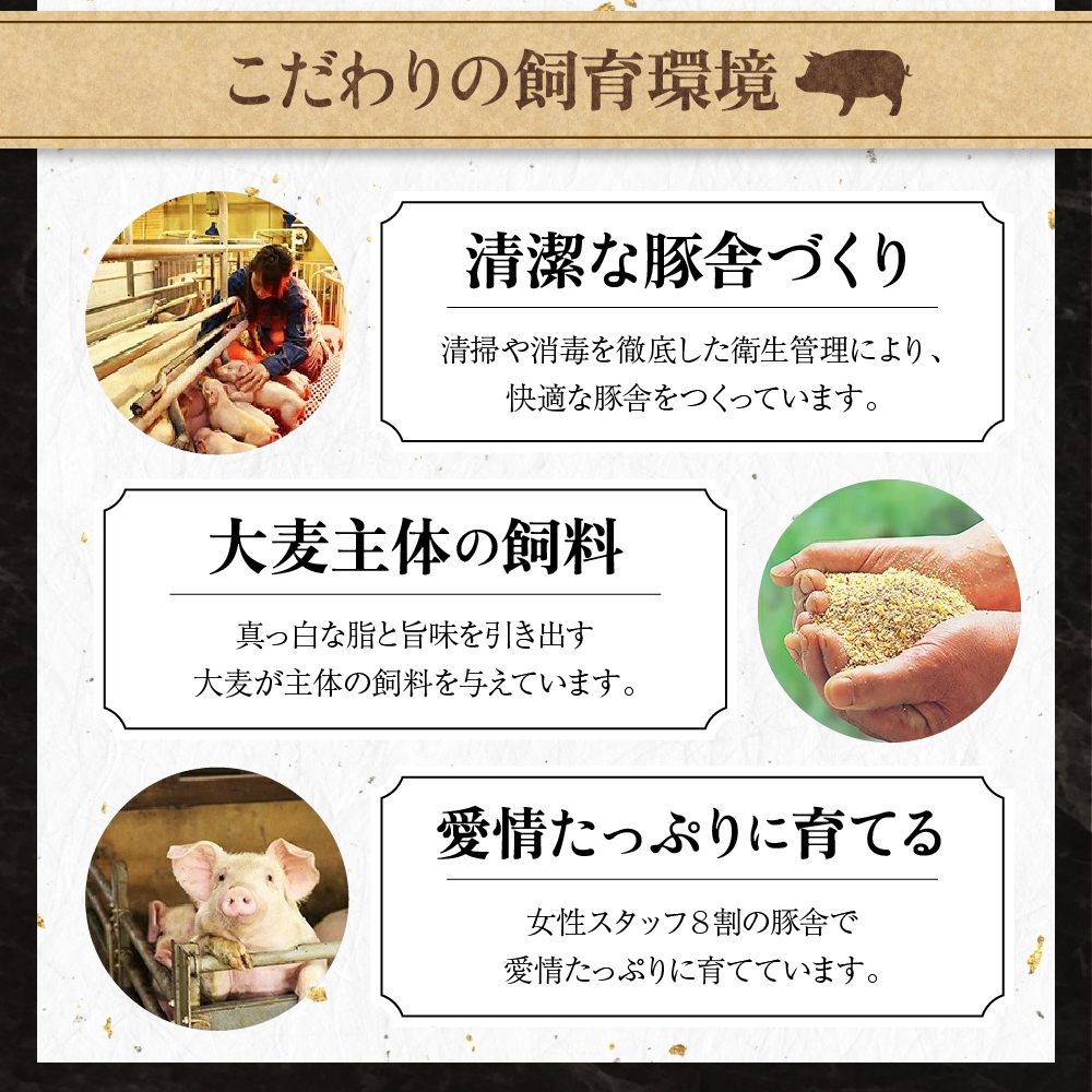 米澤豚一番育ち 使用 豚 の 角煮 170g × 4袋 計 680g 冷凍 惣菜 豚肉