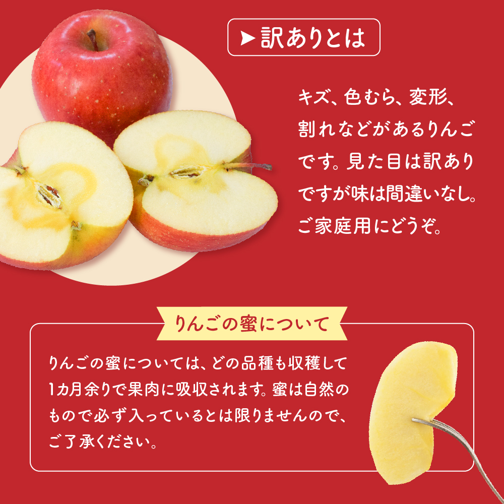 【先行予約】 令和8年産 訳あり りんご サンふじ 約5kg 玉数 お任せ ご家庭用 2026年11月中旬～12月上旬頃 お届け予定 山形県 米沢市