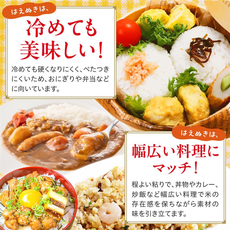 令和7年産 山形県産 はえぬき 無洗米 10kg ( 5kg × 2袋 ) 白米 2025年産 産地直送 山形県 米沢市