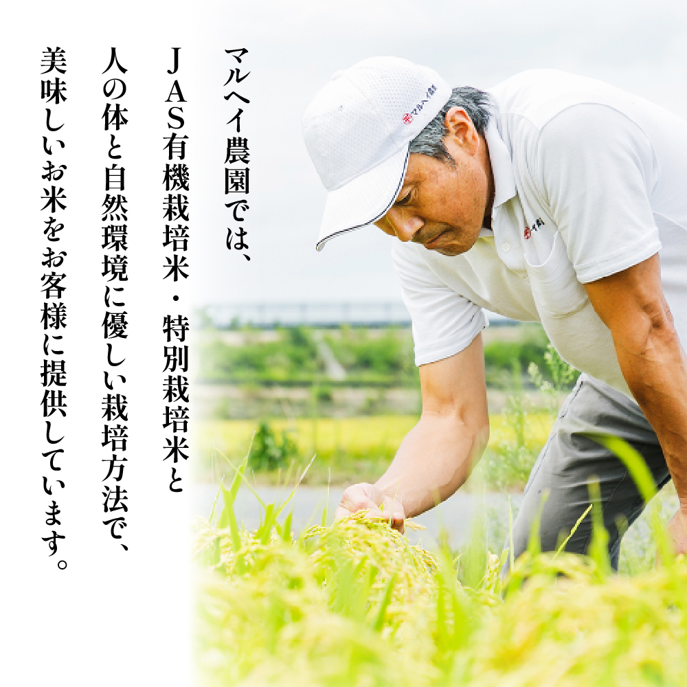 【 令和7年産 】 特別栽培米 つや姫 計10kg ( 5kg×2袋 ) 〔2025年10月中下旬頃～順次お届け〕2025年産 産地直送 農家直送 ブランド米