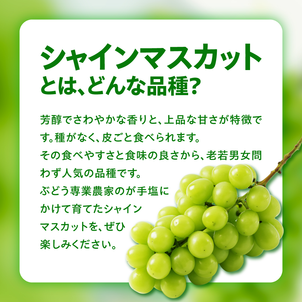 【先行予約】 令和8年産 訳あり シャインマスカット 1kg 2026年9月上旬頃～お届け予定