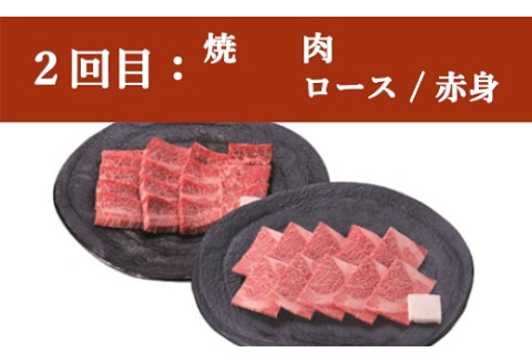 【定期便】米沢牛 ステーキ・焼肉コース【冷蔵】 牛肉 和牛 ブランド牛