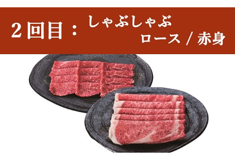 【定期便】米沢牛 ステーキ・しゃぶしゃぶコース【冷蔵】 牛肉 和牛 ブランド牛
