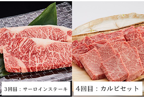 【老舗米沢牛専門店】 牛肉 米沢牛 定期便 （全6回お届け） 《冷蔵》 ステーキ すき焼き しゃぶしゃぶ 焼肉 [083-012]
