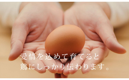 【6ヶ月定期便】 紅花たまご60個セット 10個×6パック/月 [026-009]