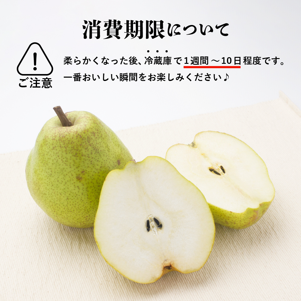 【先行予約】 令和8年産 ラ・フランス 約5kg 14玉 ～ 16玉 西洋梨 2026年11月上旬～12月上旬 お届け予定 山形県 米沢市