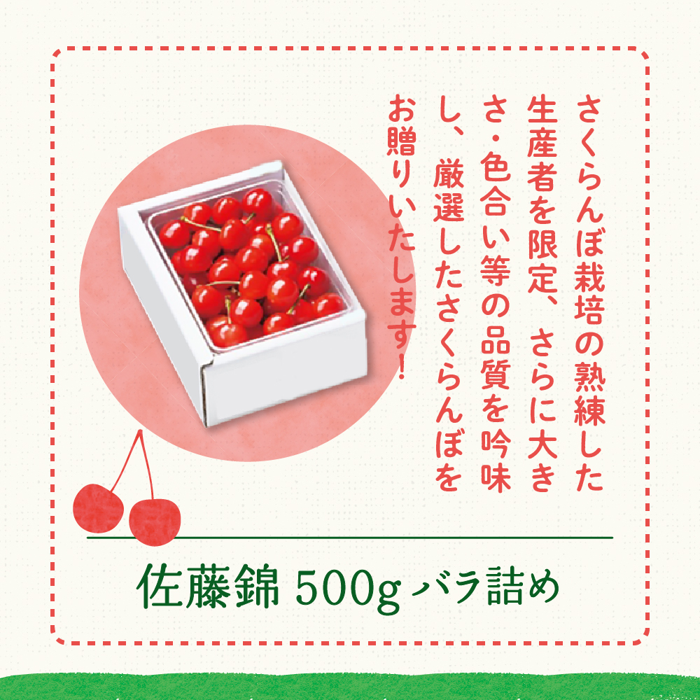 【先行予約】 令和8年産 さくらんぼ 佐藤錦 500g ( バラ詰め ) 2026年6月上旬～下旬頃お届け予定