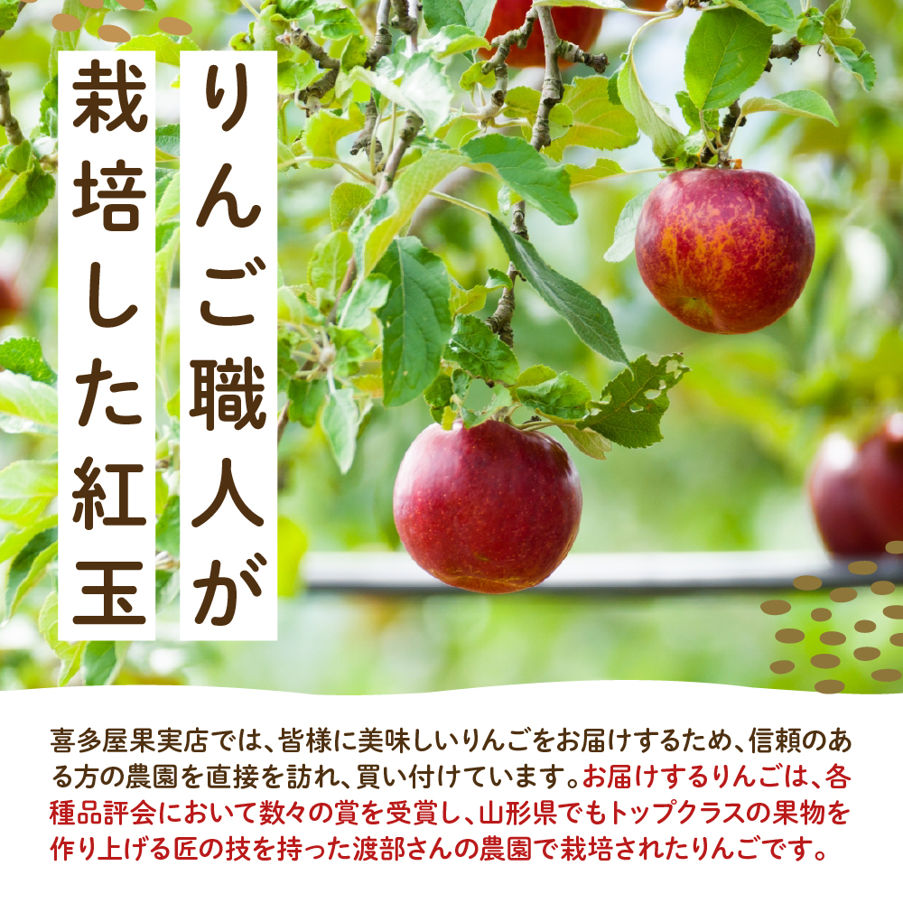【先行予約】 令和8年産 紅玉 りんご 約2kg 9玉 ～ 13玉 舘山りんご フルーツアドバイザー 厳選 2026年10月中旬～下旬頃 お届け予定 山形県 米沢市