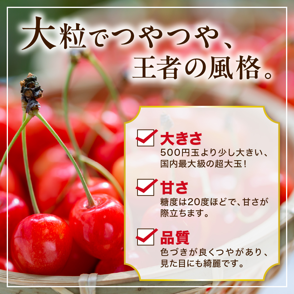 【先行予約】 令和8年産 さくらんぼ やまがた紅王 400g ( 200g × 2パック ) バラ詰め 2L ～ 3L玉 2026年6月下旬～7月上旬頃お届け予定