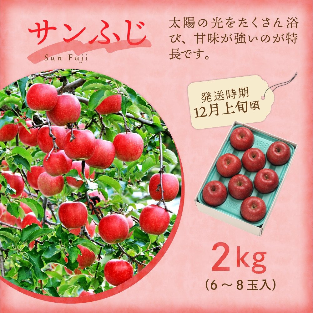 【先行予約】【定期便】令和7年産 フルーツ定期便 3回 配送 さくらんぼ シャインマスカット りんご 2025年6月中旬頃～ 発送開始 2025年産