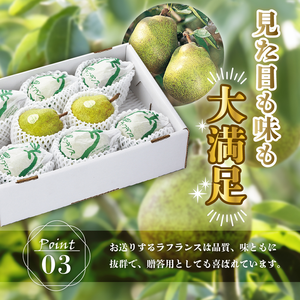 【先行予約】 令和8年産 ラ・フランス 特秀 約3kg 7玉 ～ 10玉 2026年11月中旬～下旬頃 お届け予定 山形県 米沢市