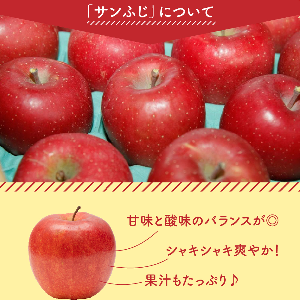 【先行予約】 令和8年産 訳あり りんご サンふじ 約5kg 玉数 お任せ ご家庭用 2026年11月中旬～12月上旬頃 お届け予定 山形県 米沢市