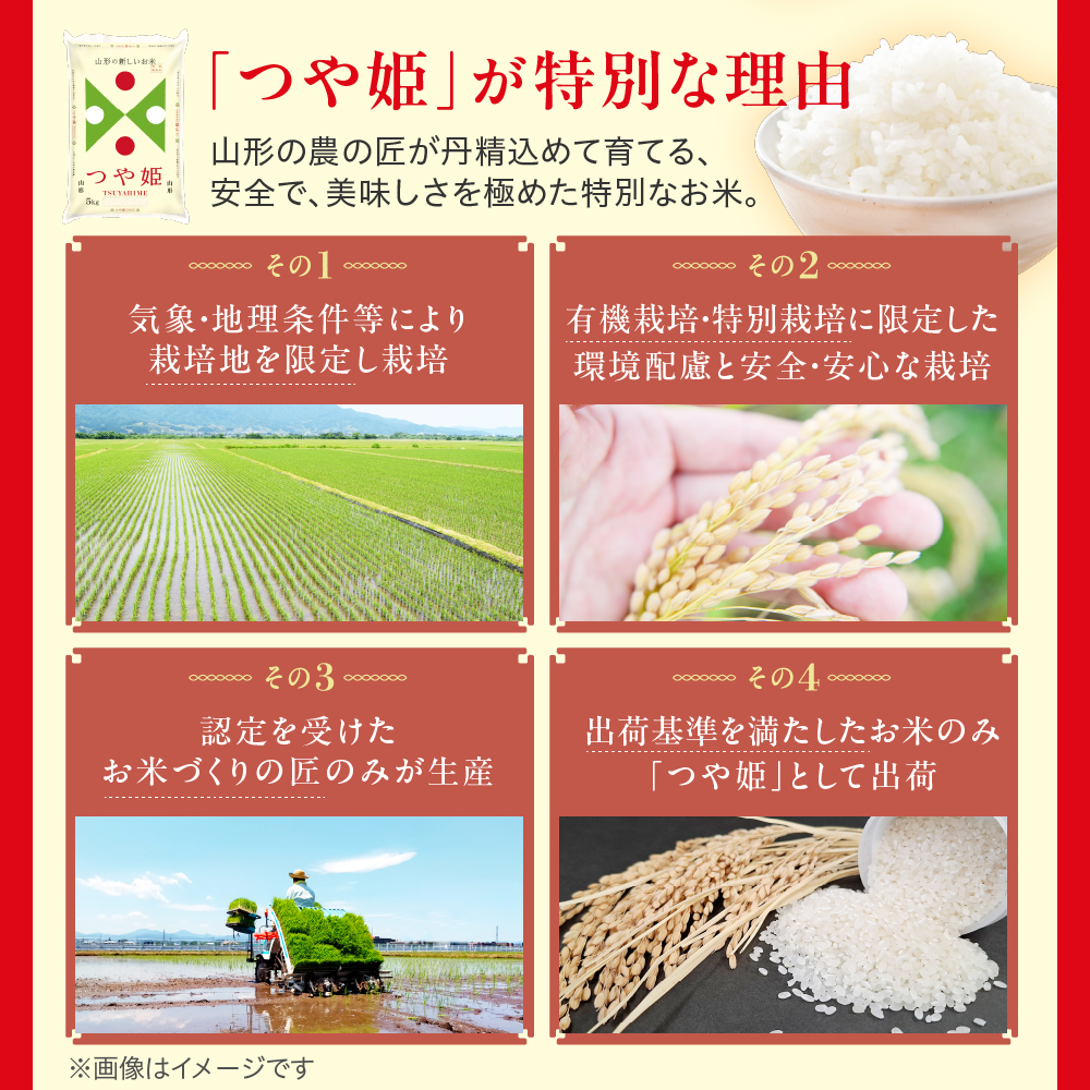 令和7年産 山形県産 特別栽培米 つや姫 15kg ( 5kg × 3袋 ) 精米 白米 2025年産 産地直送 山形県 米沢市