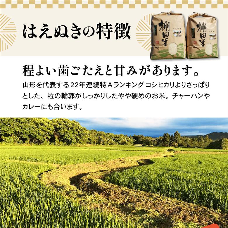 【 令和7年産 】 米沢米 棚田米 はえぬき 10kg ( 5kg×2袋 ) 〔2025年10月中下旬頃～順次お届け〕特別栽培米 2025年産 産地直送 農家直送