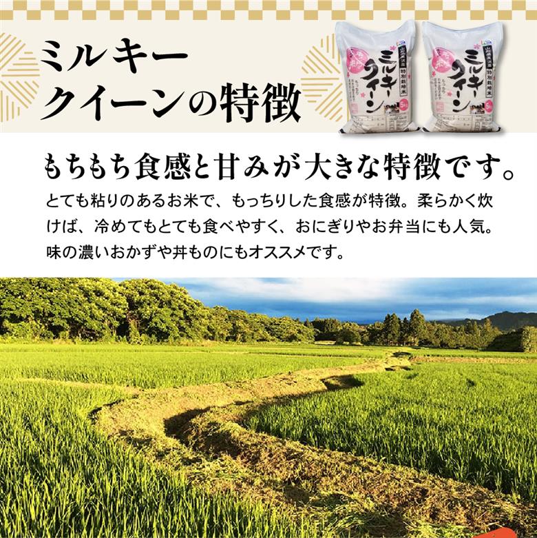 【 令和7年産 】 特別栽培米 ミルキークイーン 計10kg ( 5kg×2袋 ) 〔2025年10月中下旬頃～順次お届け〕2025年産 産地直送 農家直送