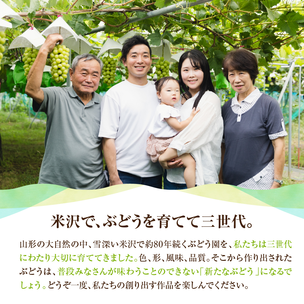 【先行予約】 【3ヶ月定期便】 令和8年産 粒 シャインマスカット 210g × 3パック × 3回 2026年9月下旬頃～お届け予定