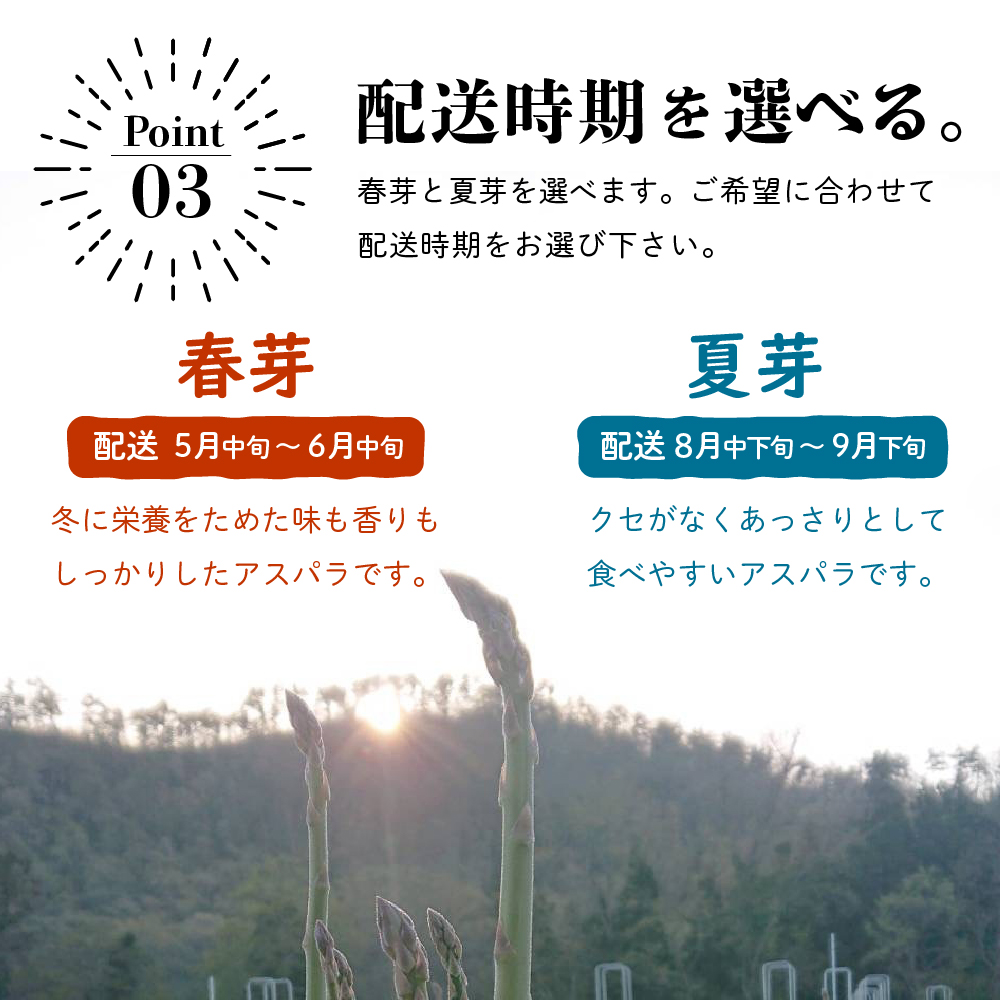 《 先行予約 》【 令和8年産 春芽 】 アスパラガス 1kg 1箱 〔 発送 ： 2026年5月中旬頃 ～ 6月中旬頃 まで 〕 朝採り 有機肥料栽培