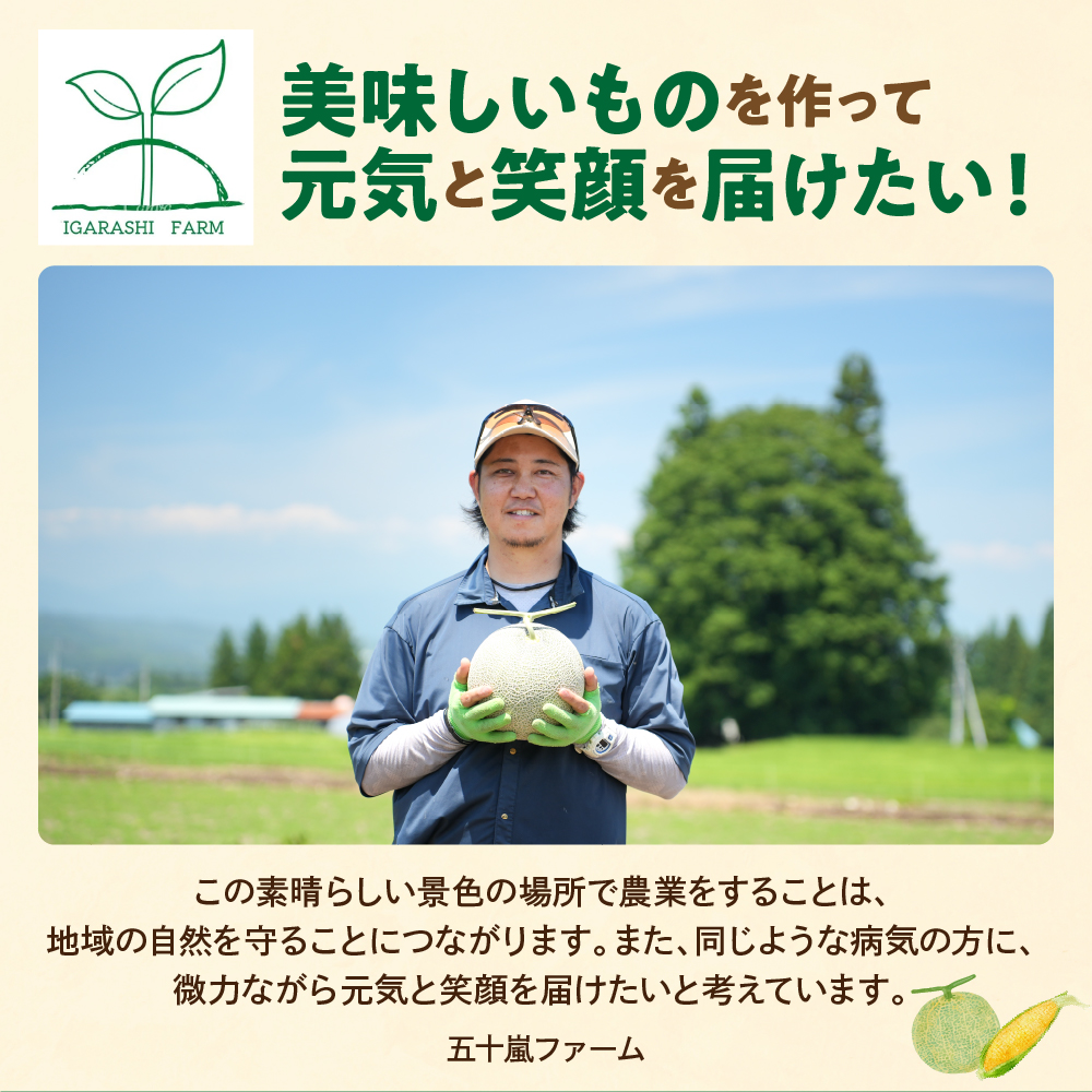 【先行予約】 令和8年産 青肉メロン ( クレセント ) 1玉 2kg以上 2026年7月中旬～8月中旬頃お届け予定