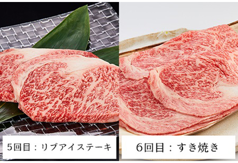 【老舗米沢牛専門店】 牛肉 米沢牛 定期便 （全6回お届け） 《冷蔵》 ステーキ すき焼き しゃぶしゃぶ 焼肉 [083-012]