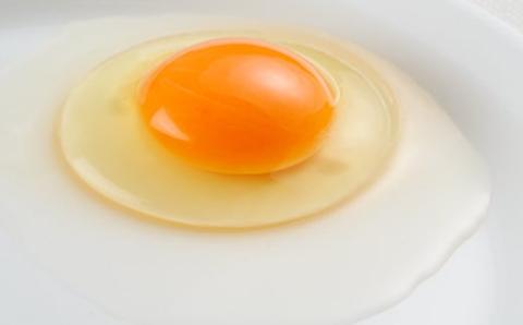 【6ヶ月定期便】 紅花たまご60個セット 10個×6パック/月 [026-009]