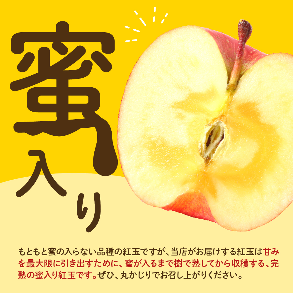 【先行予約】 令和8年産 紅玉 りんご 約2kg 9玉 ～ 13玉 舘山りんご フルーツアドバイザー 厳選 2026年10月中旬～下旬頃 お届け予定 山形県 米沢市
