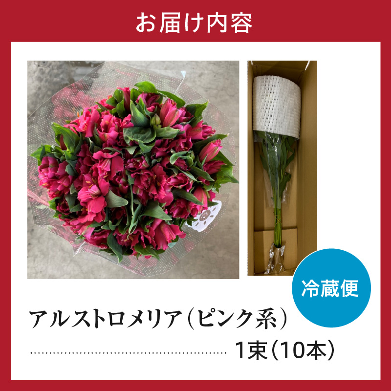 アルストロメリア ピンク系 1束 10本入り 花 生花 切花 2026年4月～7月上旬頃 お届け予定 山形県 米沢市