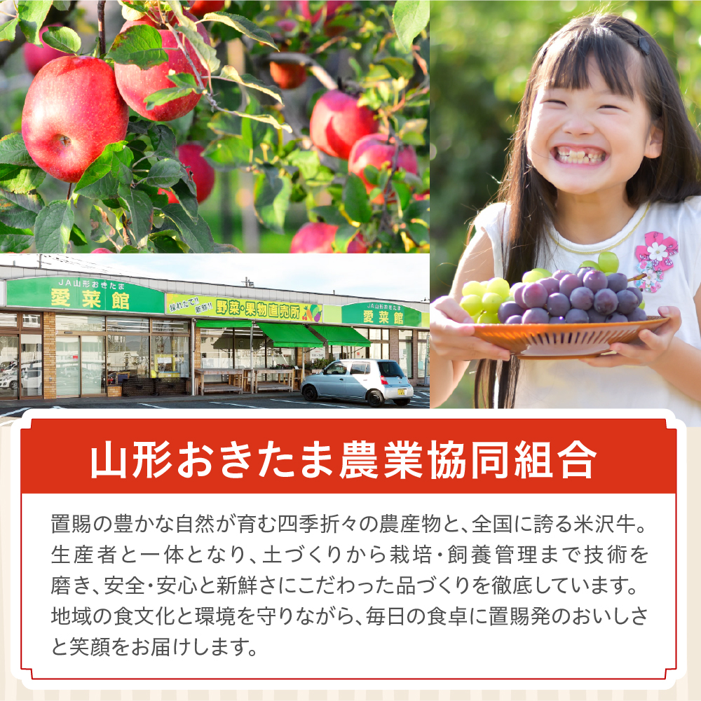 【先行予約】 令和8年産 ラ・フランス 特秀 約3kg 7玉 ～ 10玉 2026年11月中旬～下旬頃 お届け予定 山形県 米沢市