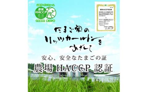 【6ヶ月定期便】 紅花たまご60個セット 10個×6パック/月 [026-009]